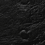 Black Ostrich Patterned Leather Strap
